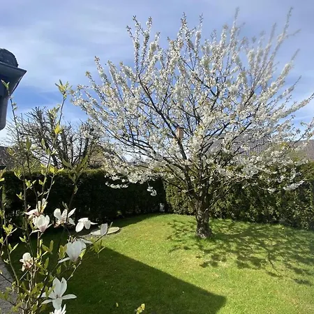 Urlaubinsicht De Comfortable Ferienhaus